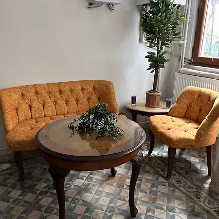 3 Story 5 Bedroom With Terrace By Tram فيلة اسطنبول